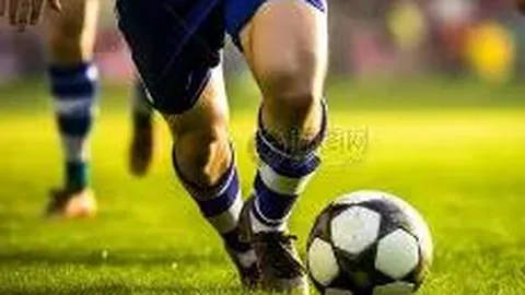 乐竞体育 产品 094140 zmy