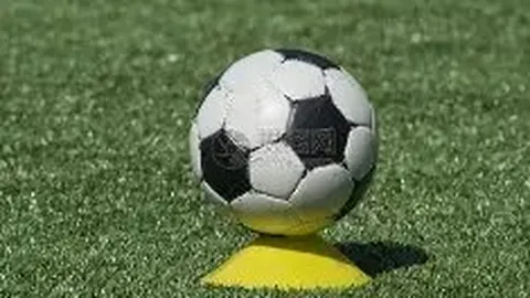 上海小学篮球培训学校报名通道：电话咨询 ｜ 在线咨询，点击沟通